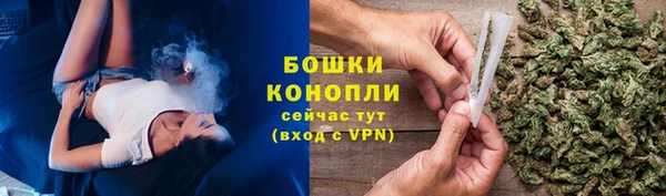 стафф Кодинск