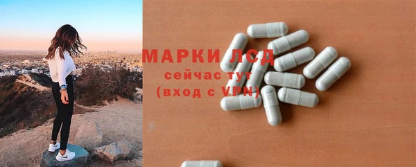 стафф Кодинск