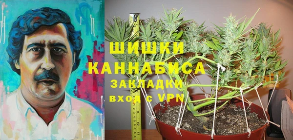 стафф Кодинск