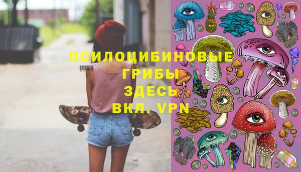 амф Козельск
