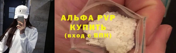 амф Козельск