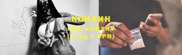 стафф Кодинск