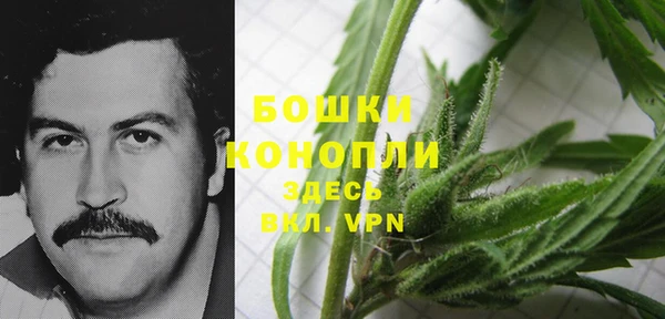 стафф Кодинск